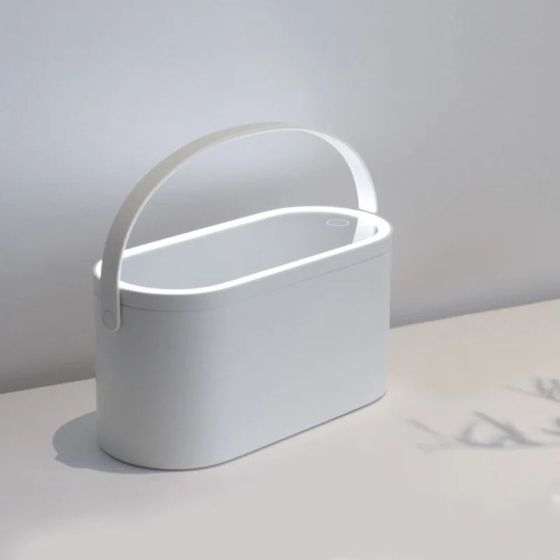 Boîte de Rangement de Maquillage avec Miroir Lumineux LED, Organiseur Portable de Voyage